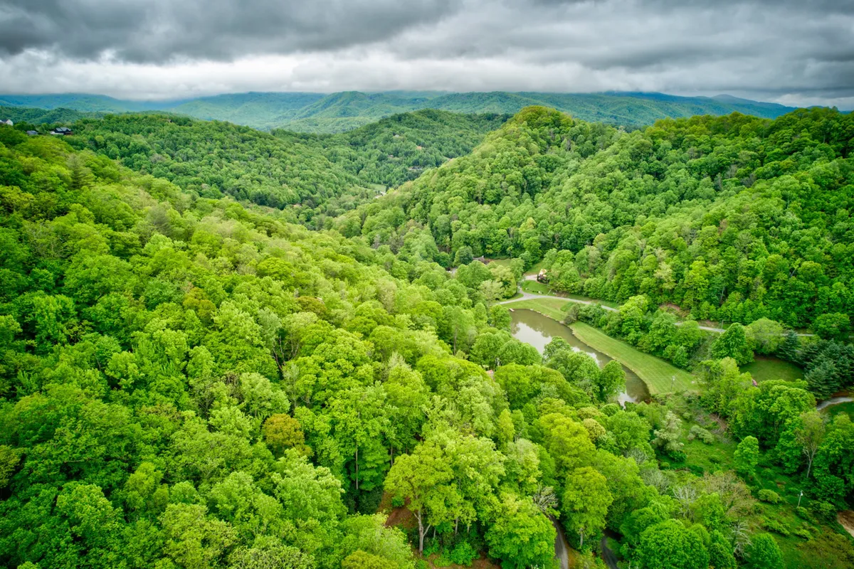 A picturesque view of rolling green hills, a meandering river, and distant mountains under a clear sky. The scene embodies the peacefulness and grandeur of the surrounding landscapes, ideal for scenic walks, picnics, and nature exploration.