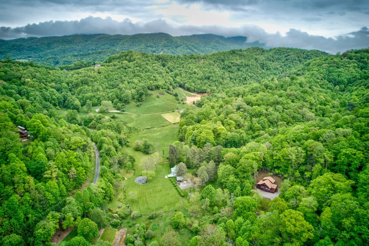 A sweeping view of the Blue Ridge Mountains, with lush green trees in the foreground, rolling hills, and a scenic mountain backdrop dotted with isolated cabins. The scene radiates tranquility and natural beauty, perfect for hiking, bird watching, and soaking in the wilderness.
